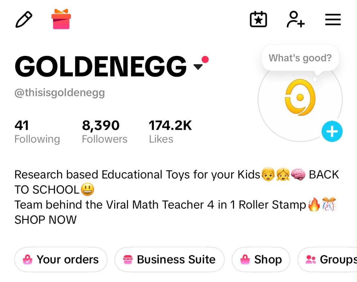 TikTok profile screenshot